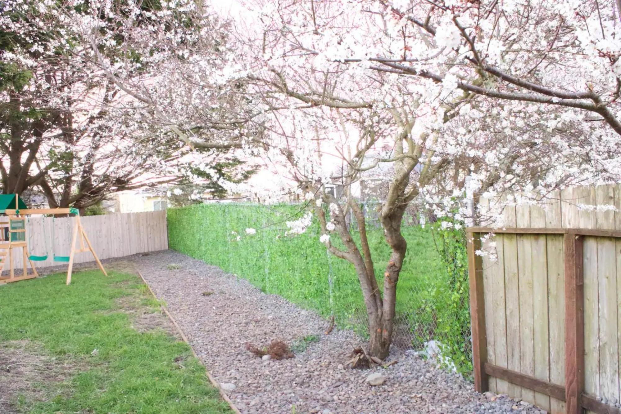 Private Home - Playground, Jumping Mat, Bbq, Darts, Firepit, Gazebo, 4 Smart Tvs, White Cotton Bedding, - The Redwood Cul-De Sac Beach Retreat 新奥尔良市 外观 照片